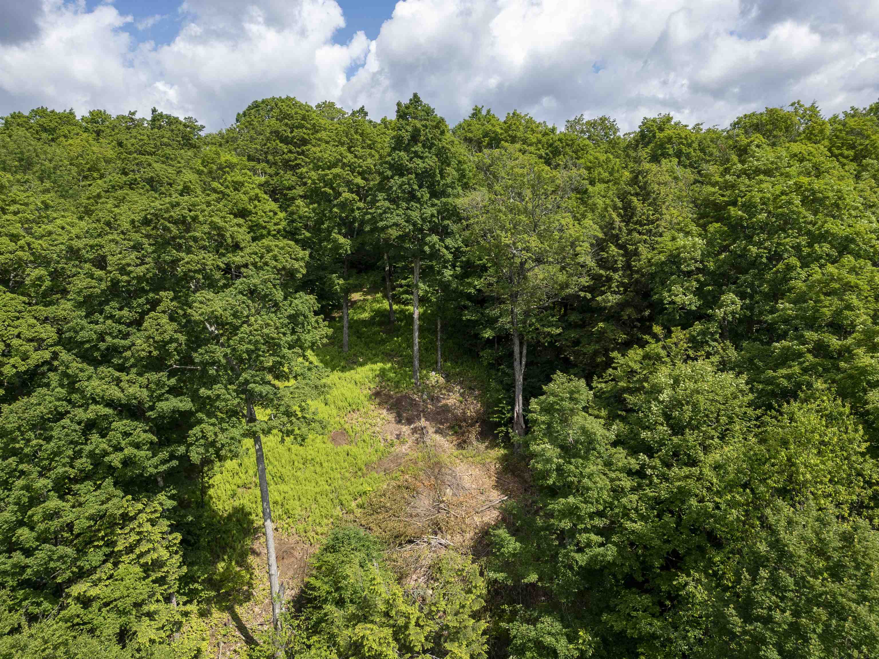 Center Fayston Road Property Photo 5