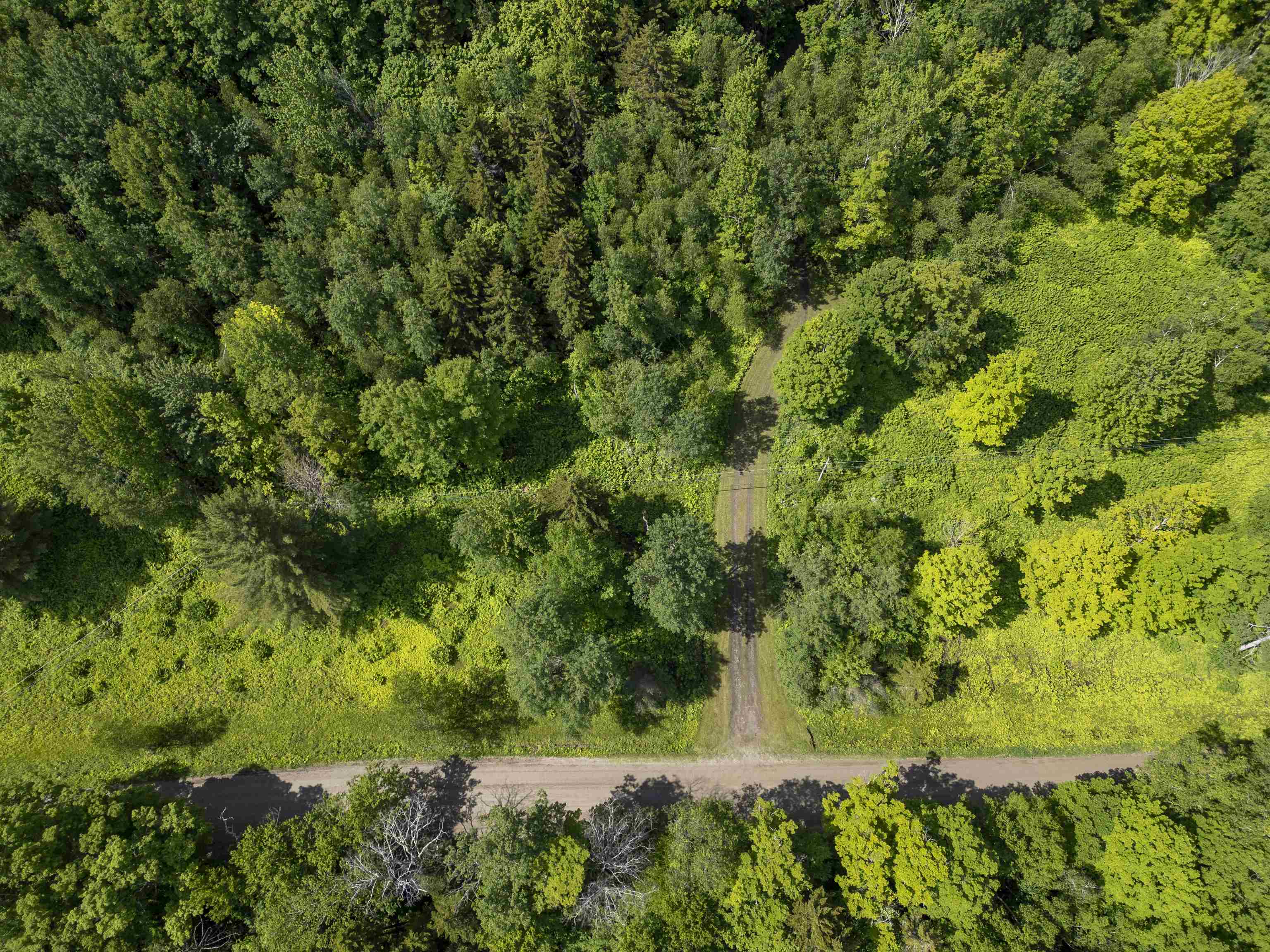 Center Fayston Road Property Photo 37