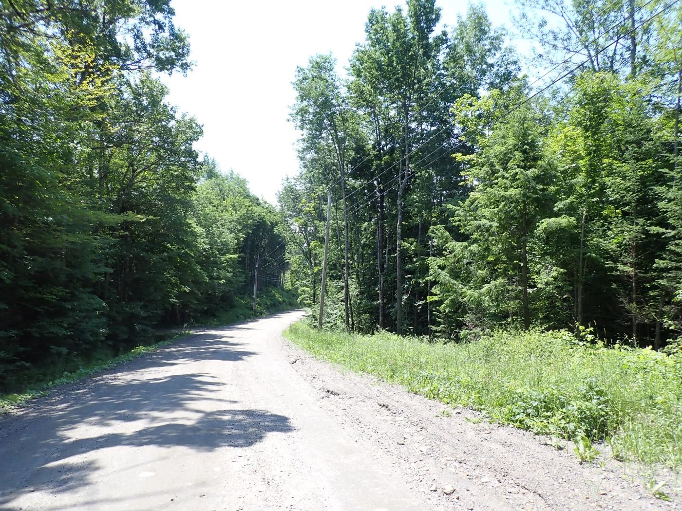 00 Plunkton Road Property Photo 16