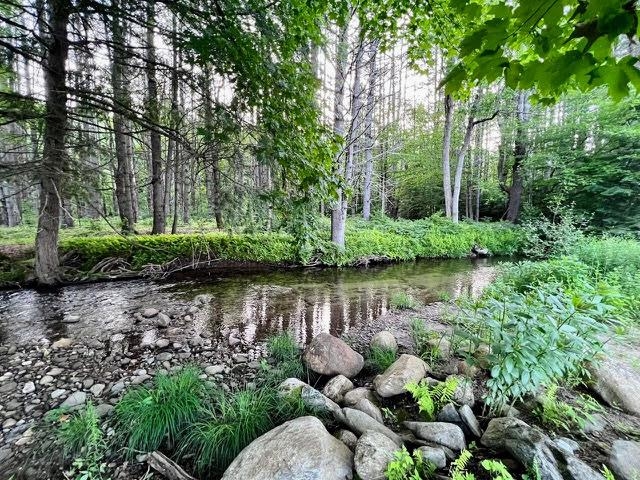 793 Grassy Brook Road Property Photo 3