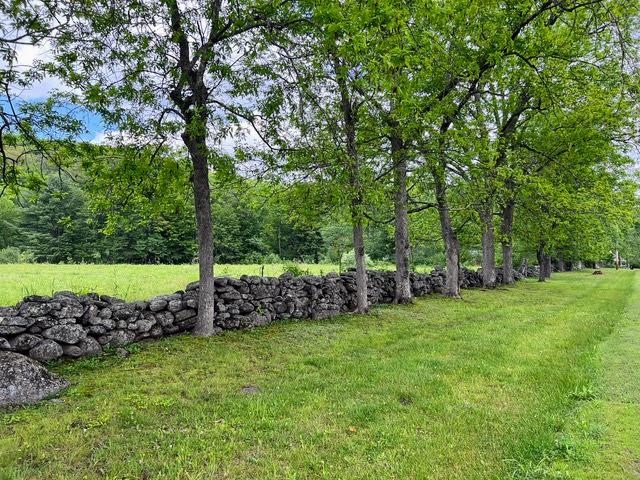 793 Grassy Brook Road Property Photo 28