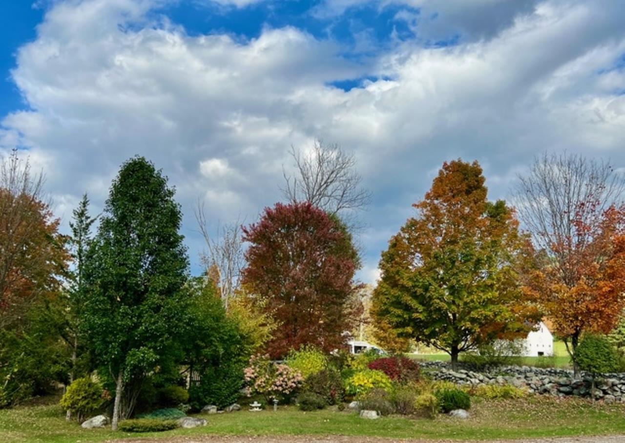 793 Grassy Brook Road Property Photo 31