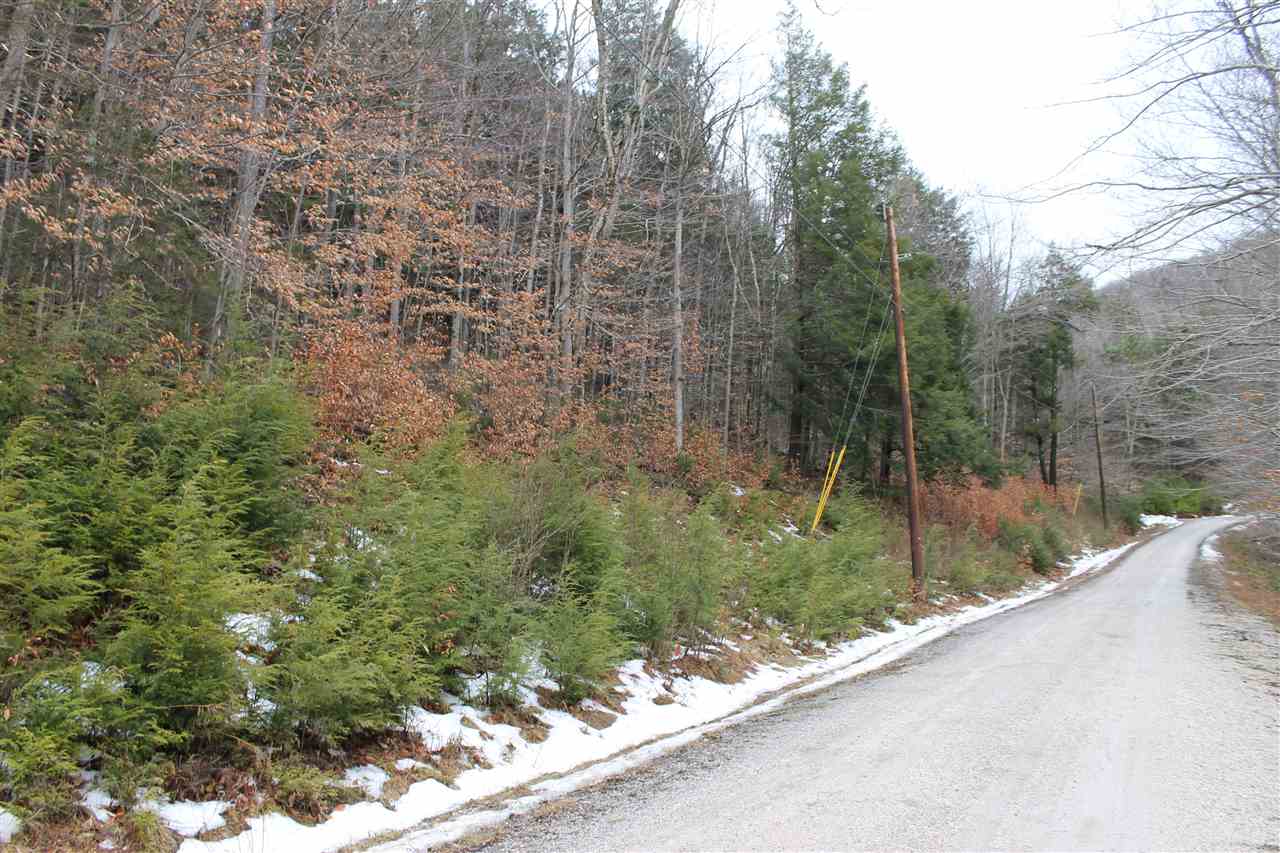 Lot 1-26 Madison Brook Lane Property Photo 2