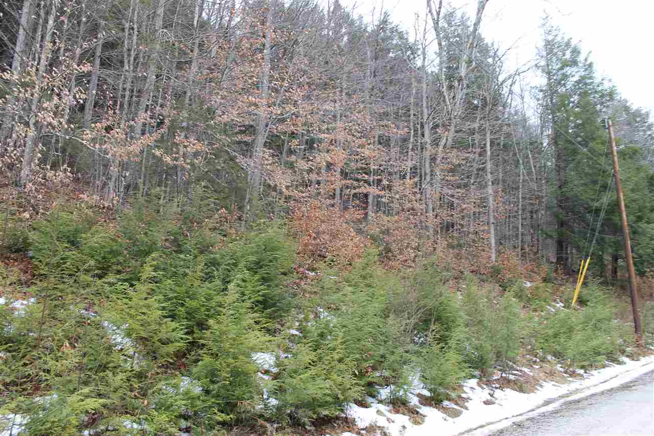 Lot 1-26 Madison Brook Lane Property Photo 3