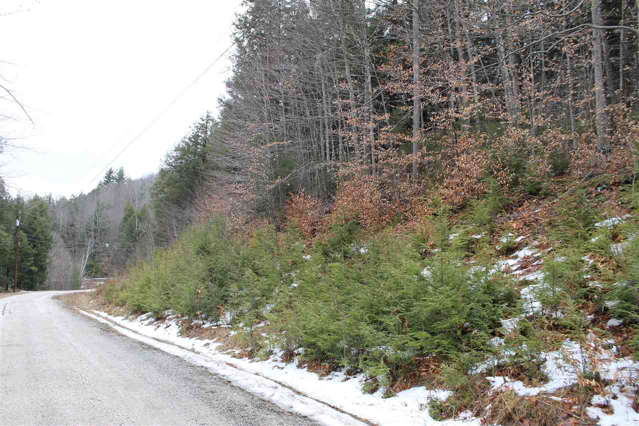 Lot 1-26 Madison Brook Lane Property Photo 4