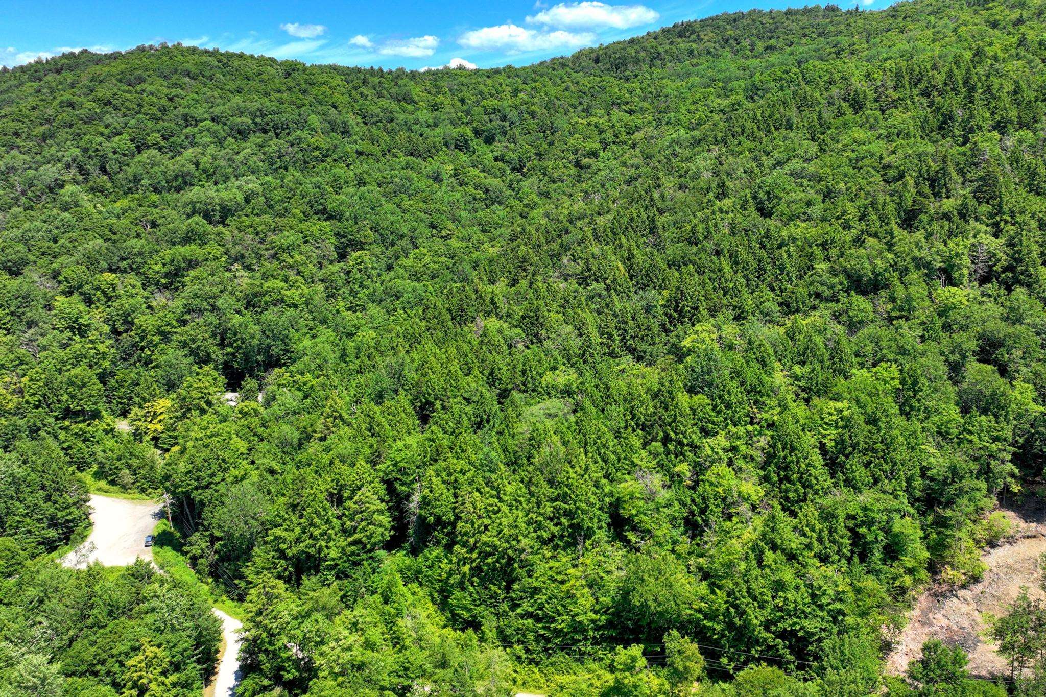 Lot 1-26 Madison Brook Lane Property Photo 8