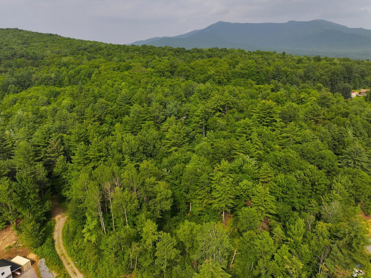Lot 4 Piney Grove Lane Property Photo 6
