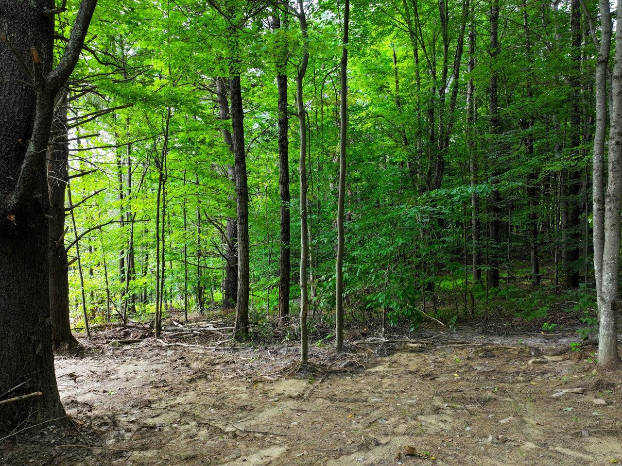 Lot 4 Piney Grove Lane Property Photo 8