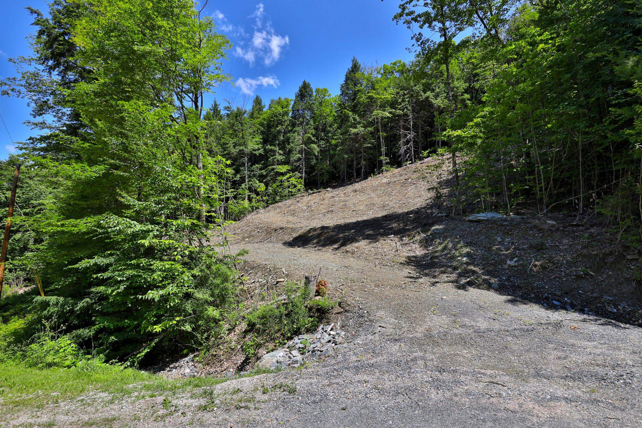 Lot 1-25 Madison Brook Lane Property Photo 1