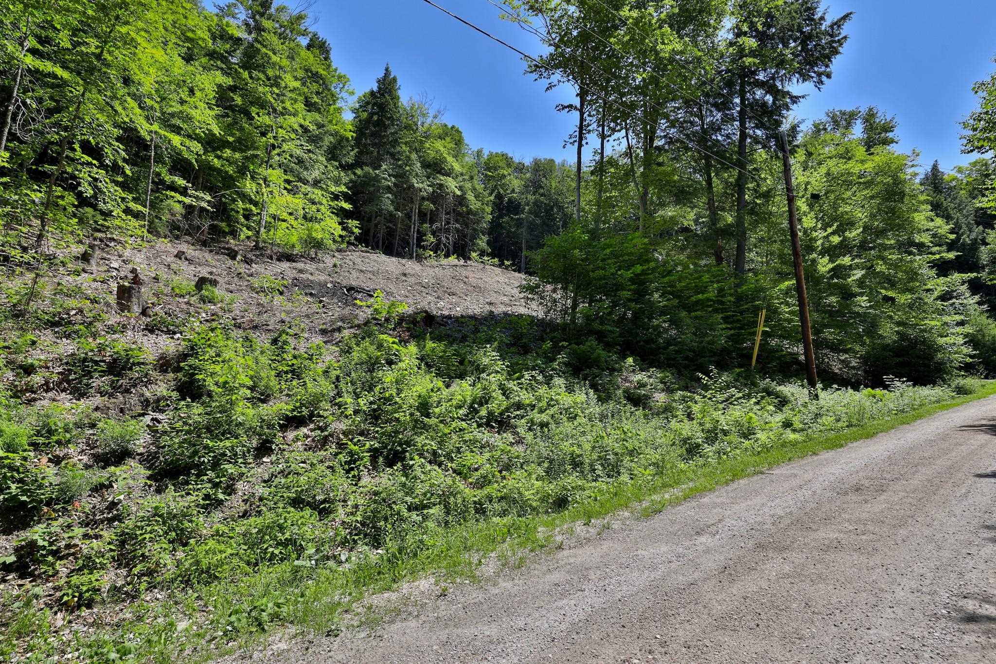 Lot 1-25 Madison Brook Lane Property Photo 3