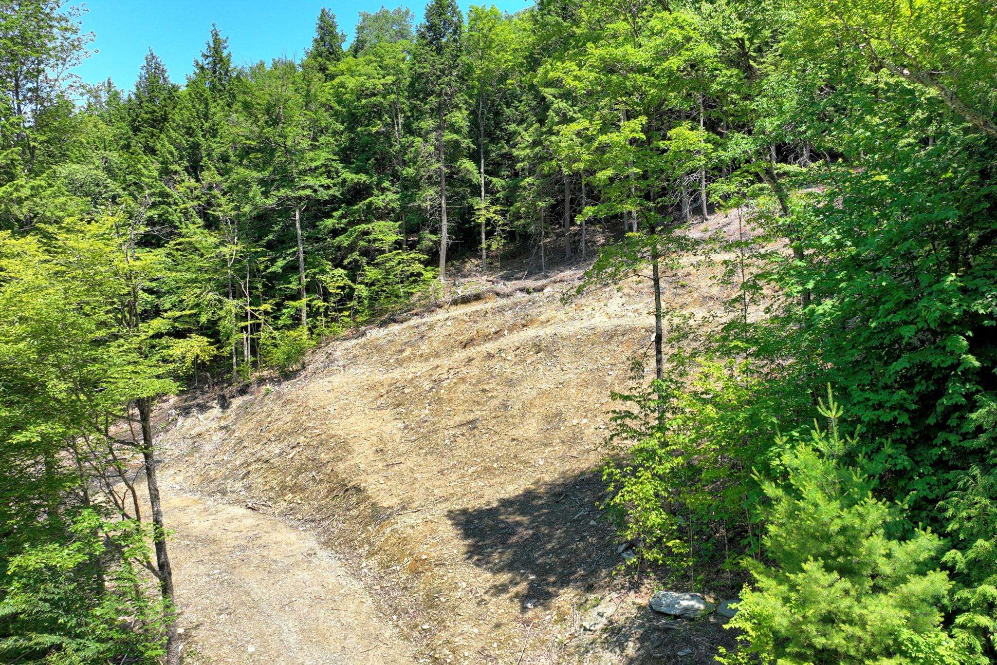 Lot 1-25 Madison Brook Lane Property Photo 5
