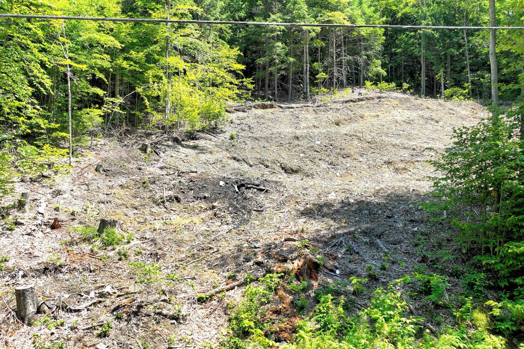 Lot 1-25 Madison Brook Lane Property Photo 7