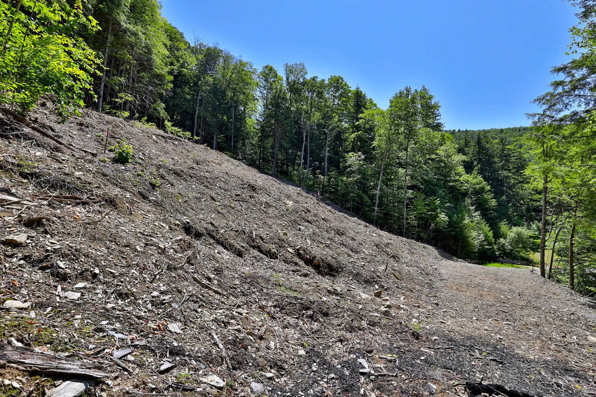 Lot 1-25 Madison Brook Lane Property Photo 8