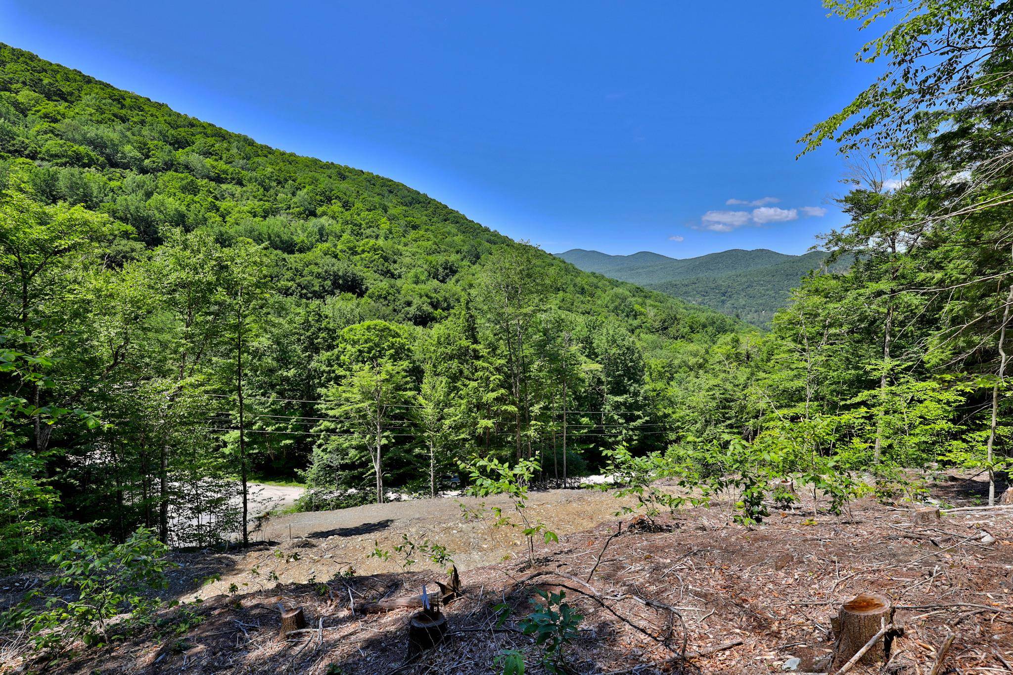 Lot 1-25 Madison Brook Lane Property Photo 9