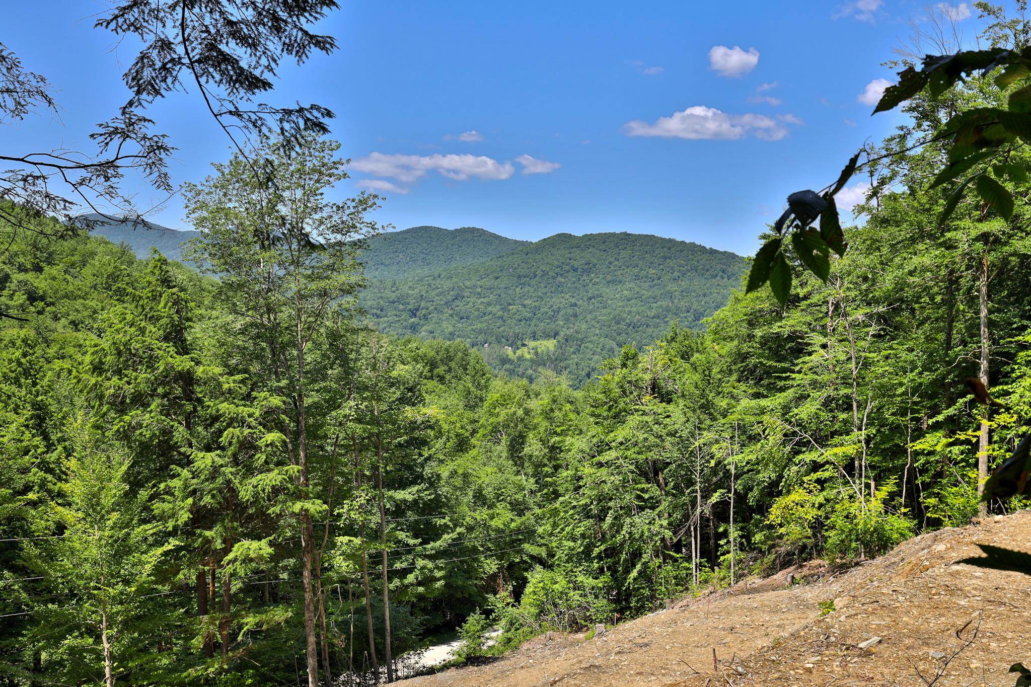 Lot 1-25 Madison Brook Lane Property Photo 10