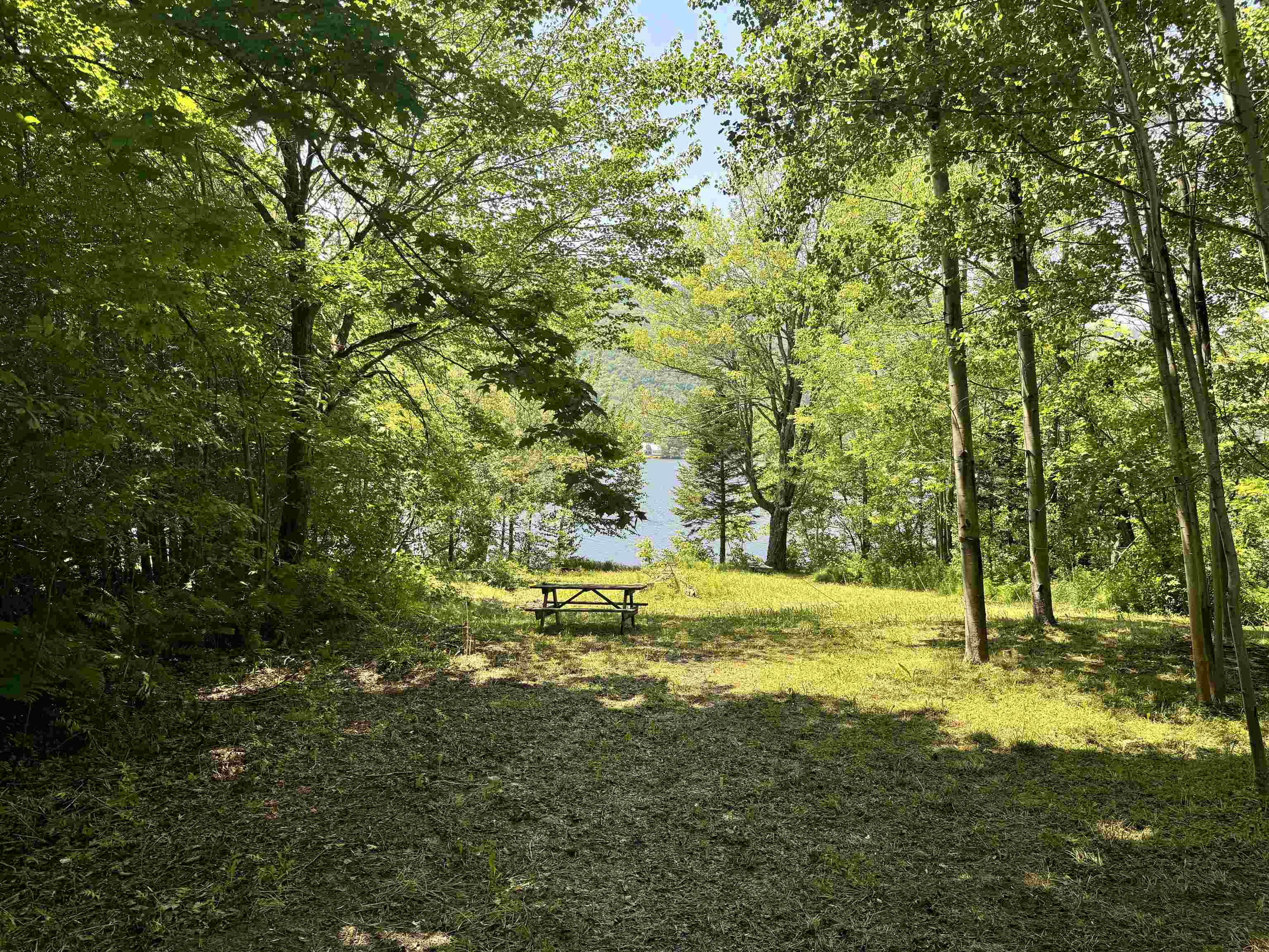 304 Camp Road Property Photo 7