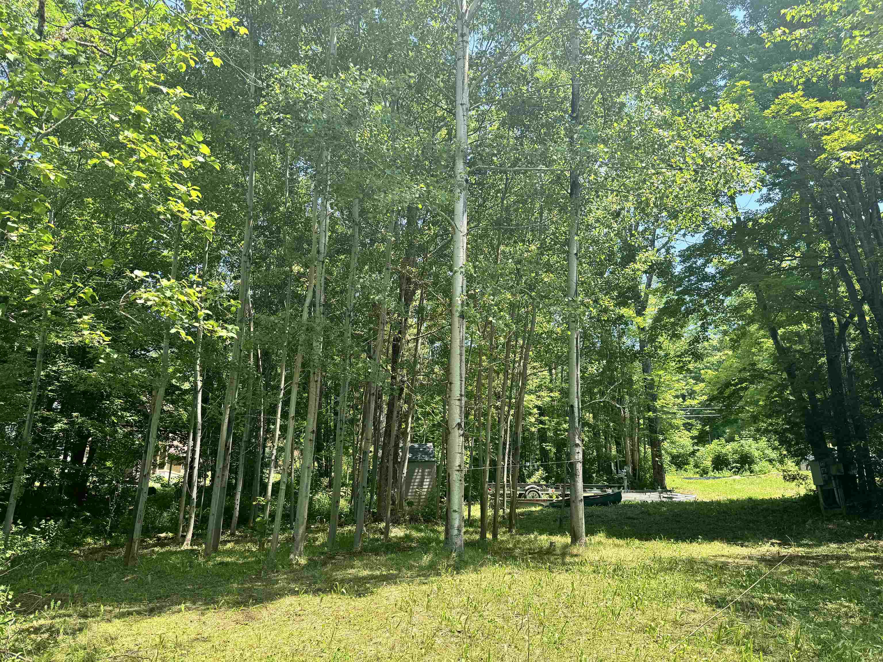 304 Camp Road Property Photo 9