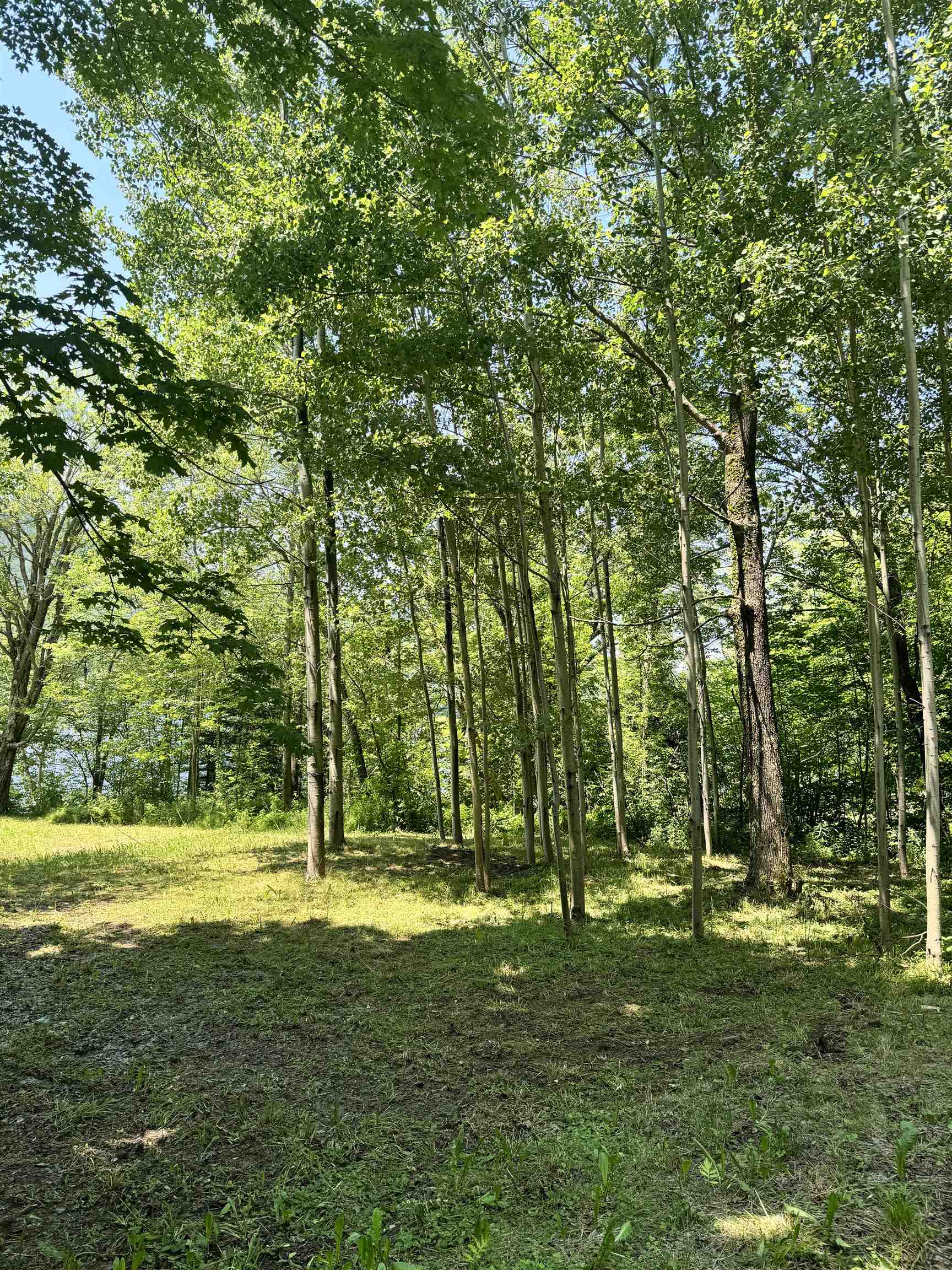 304 Camp Road Property Photo 13