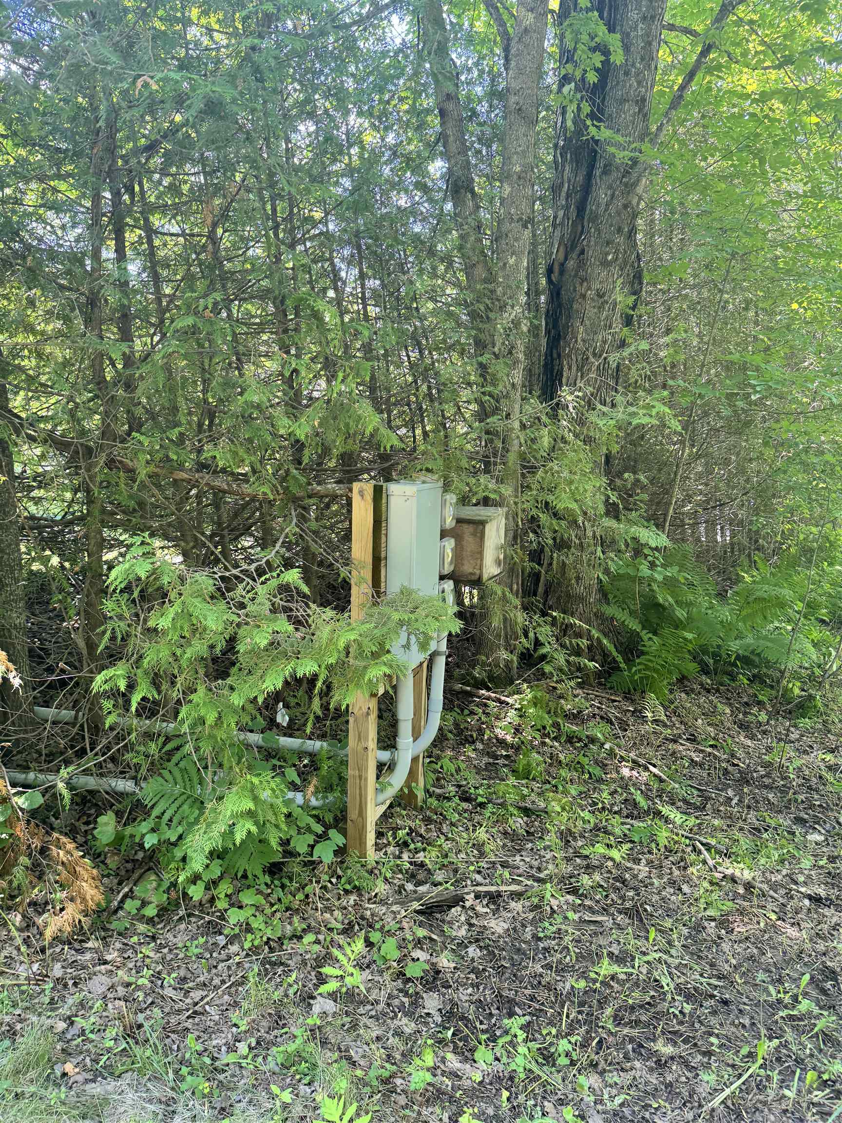 304 Camp Road Property Photo 14
