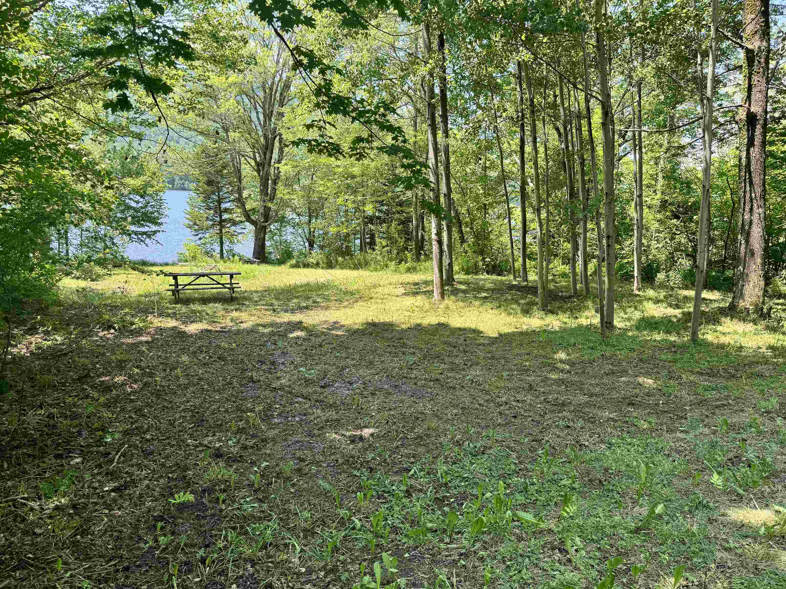 304 Camp Road Property Photo 15
