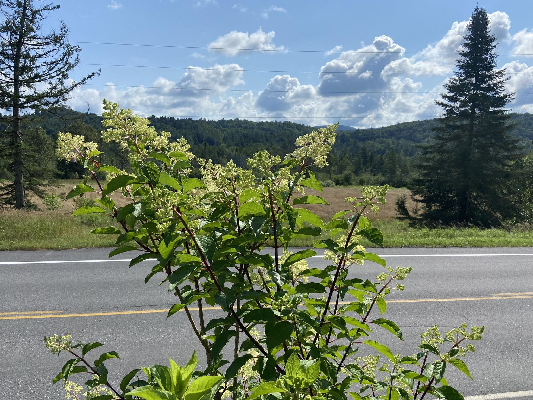 999 Vt Route 14 Property Photo 8