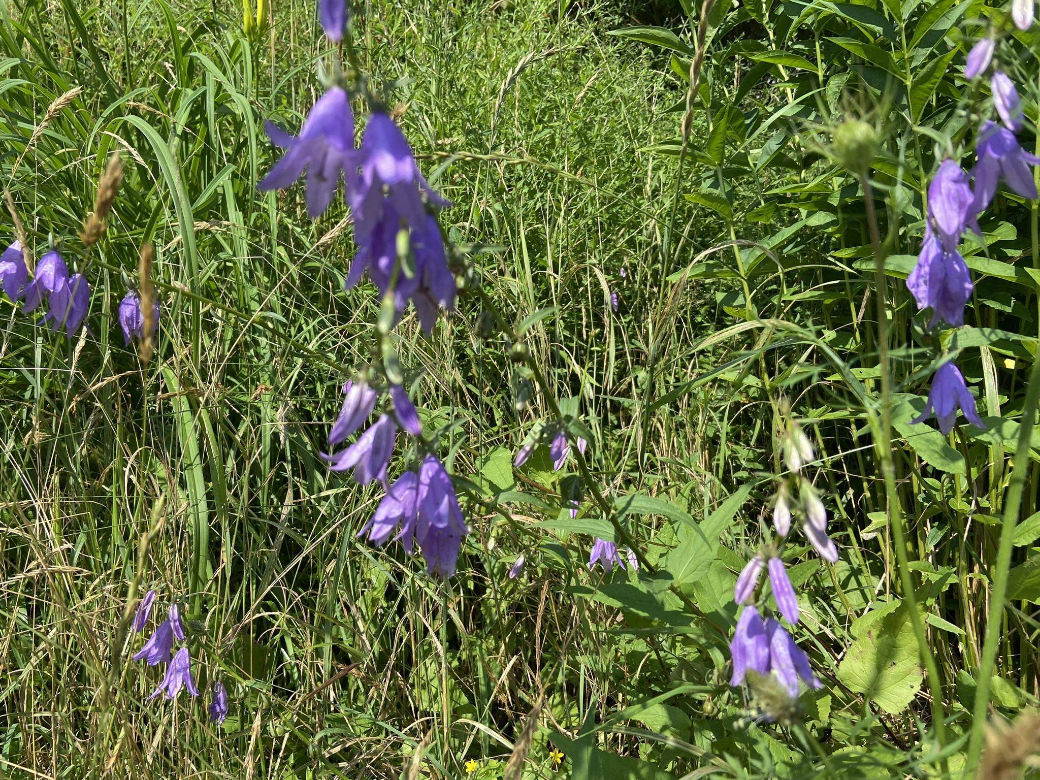 999 Vt Route 14 Property Photo 38