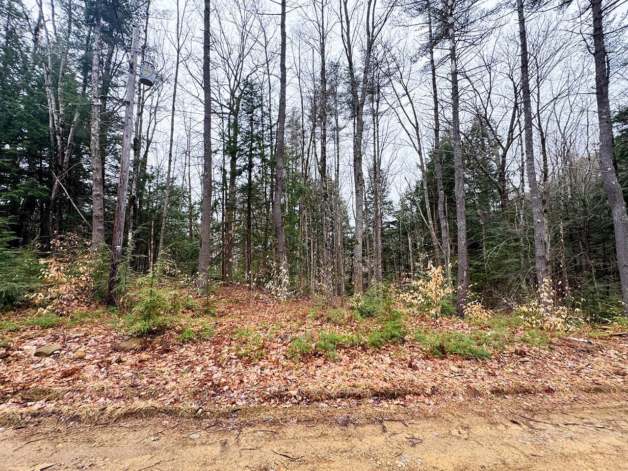0000 Cedar Drive Property Photo 1
