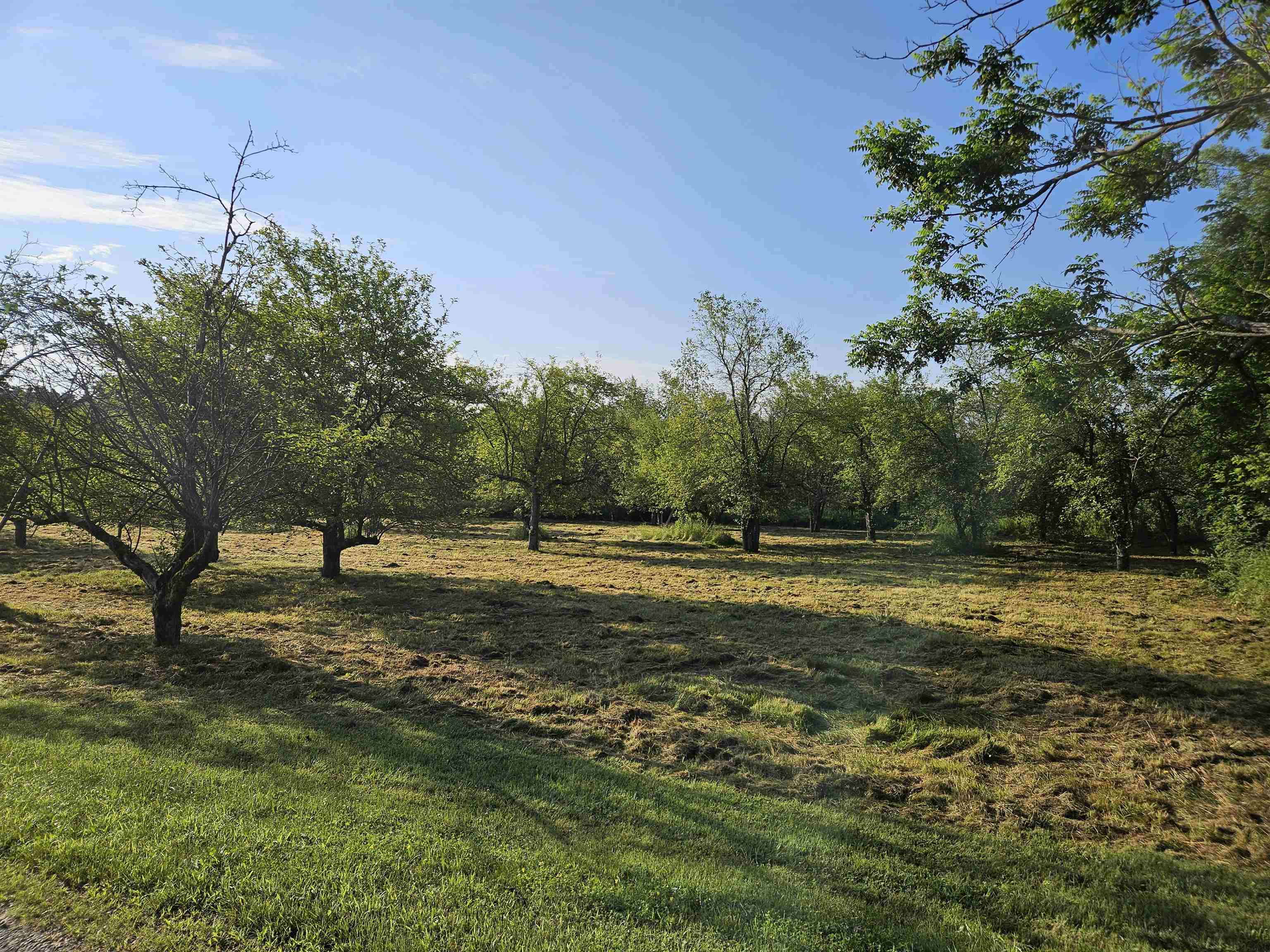 Tbd N. Bingham Street Property Photo
