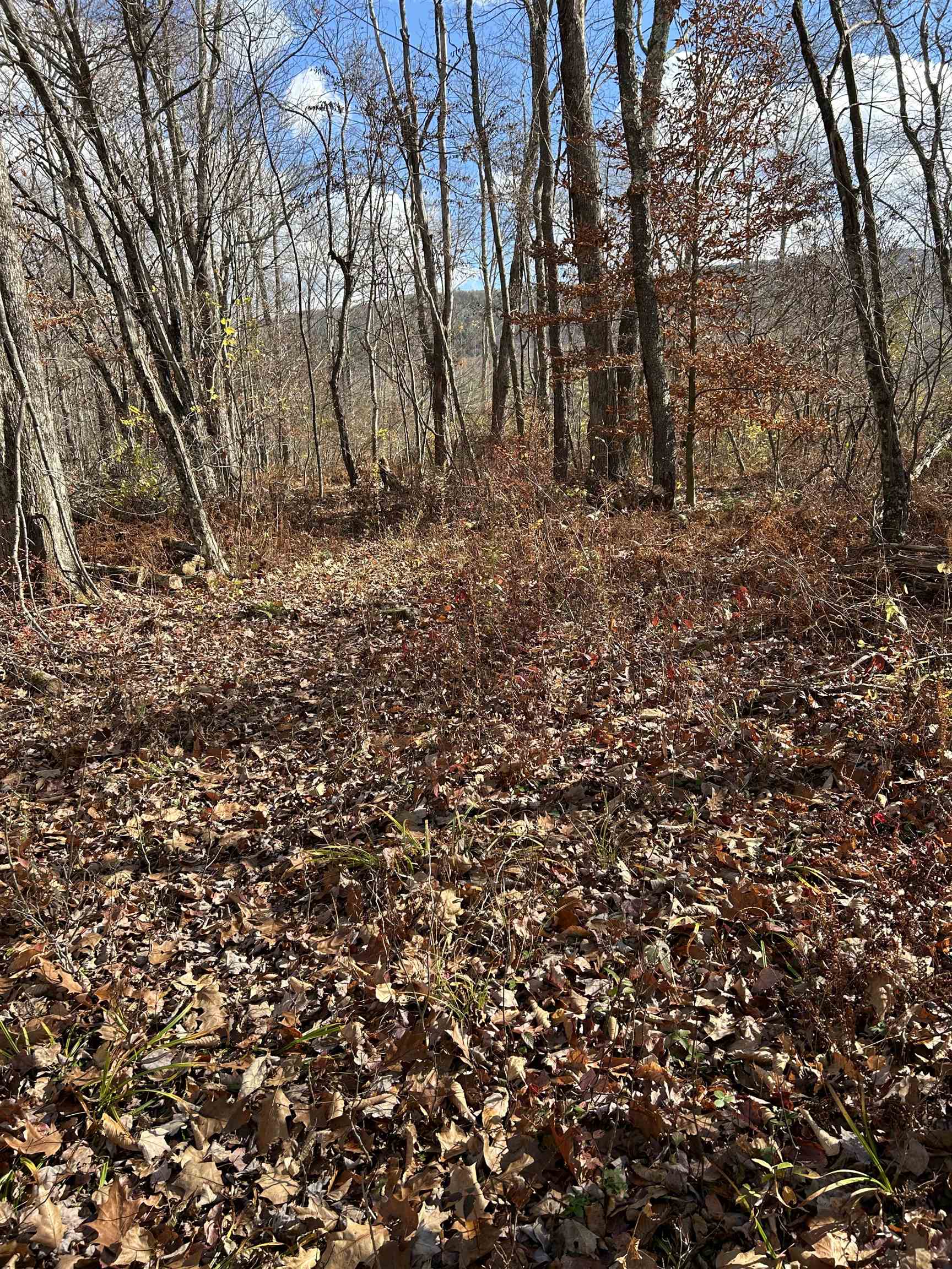 0 Sunset Drive Property Photo 2