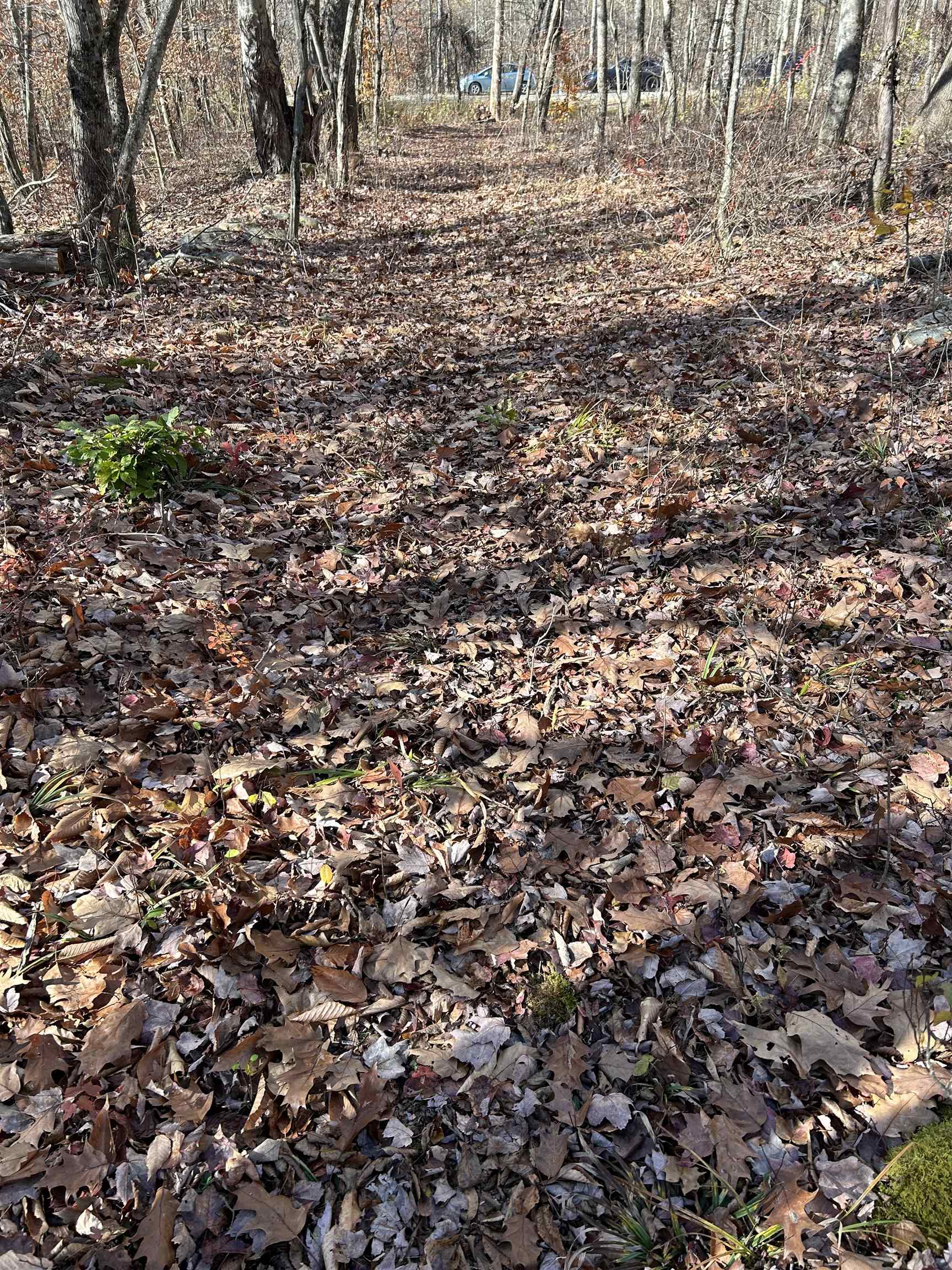 0 Sunset Drive Property Photo 3