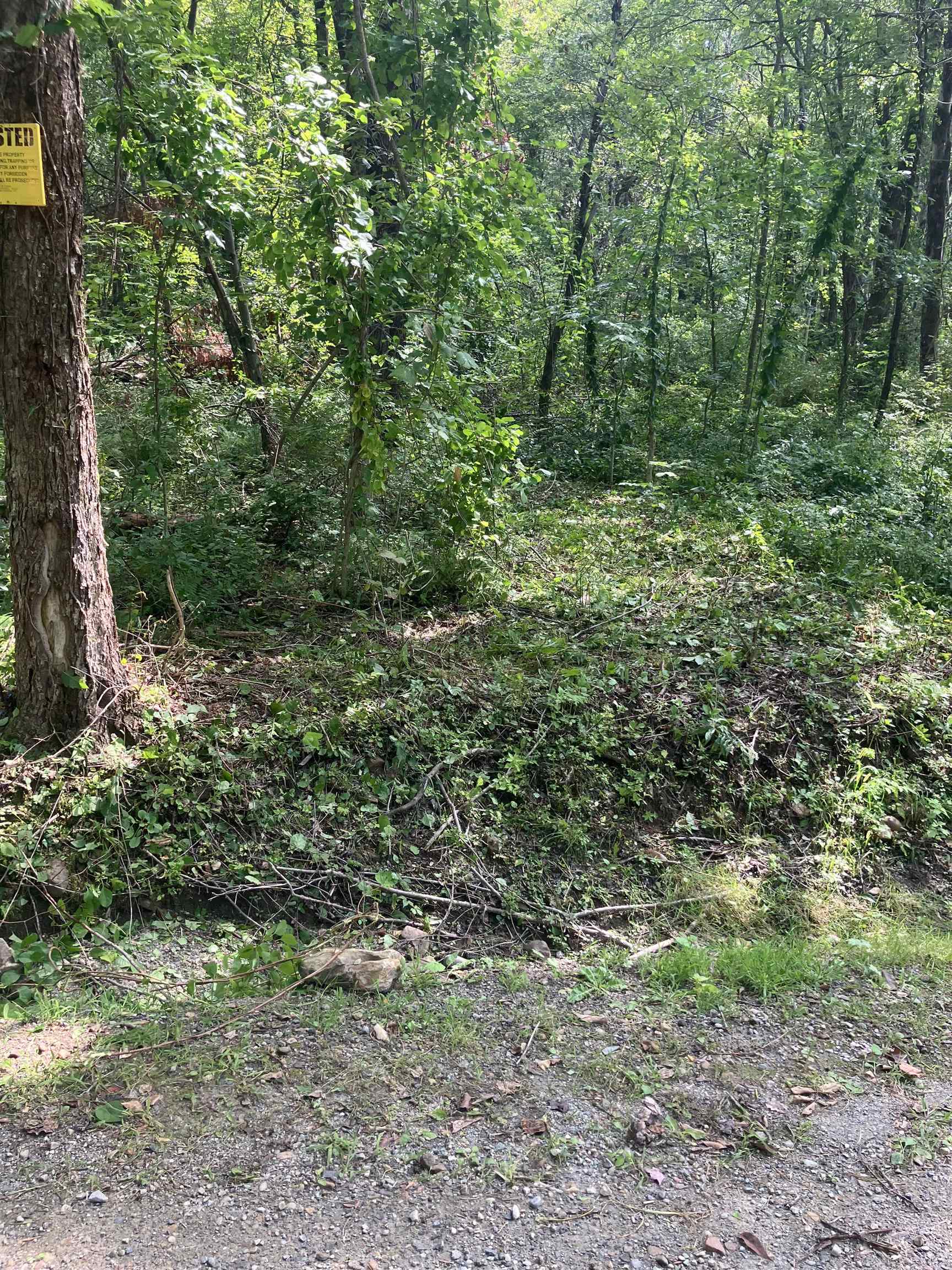 0 Sunset Drive Property Photo 6