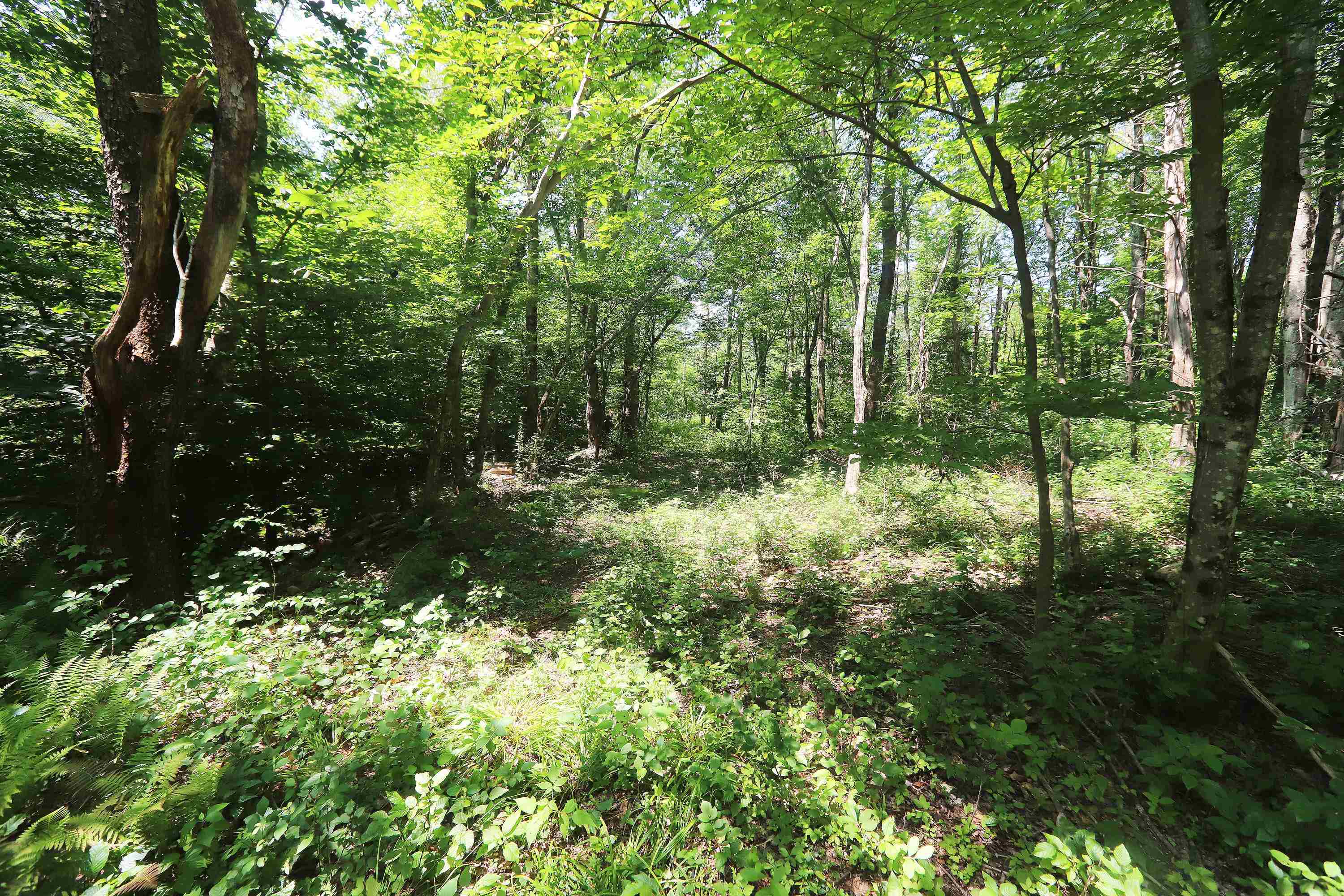 0 Sunset Drive Property Photo 12