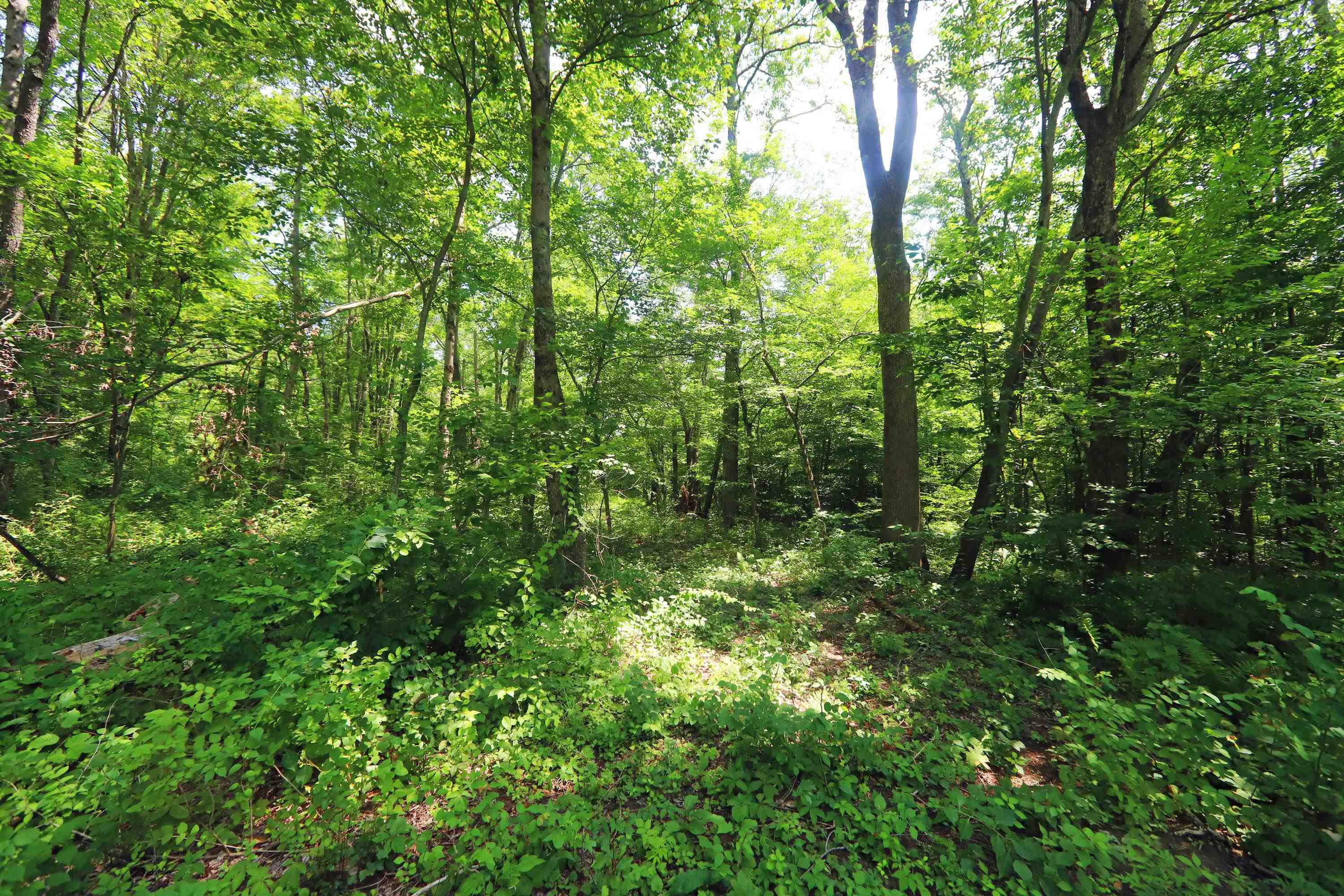 0 Sunset Drive Property Photo 14
