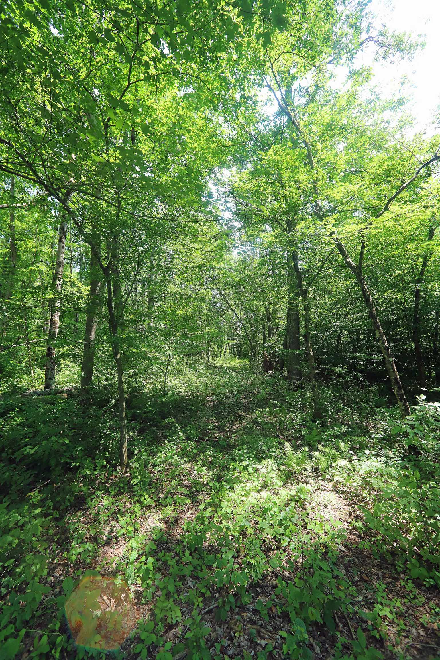 0 Sunset Drive Property Photo 16