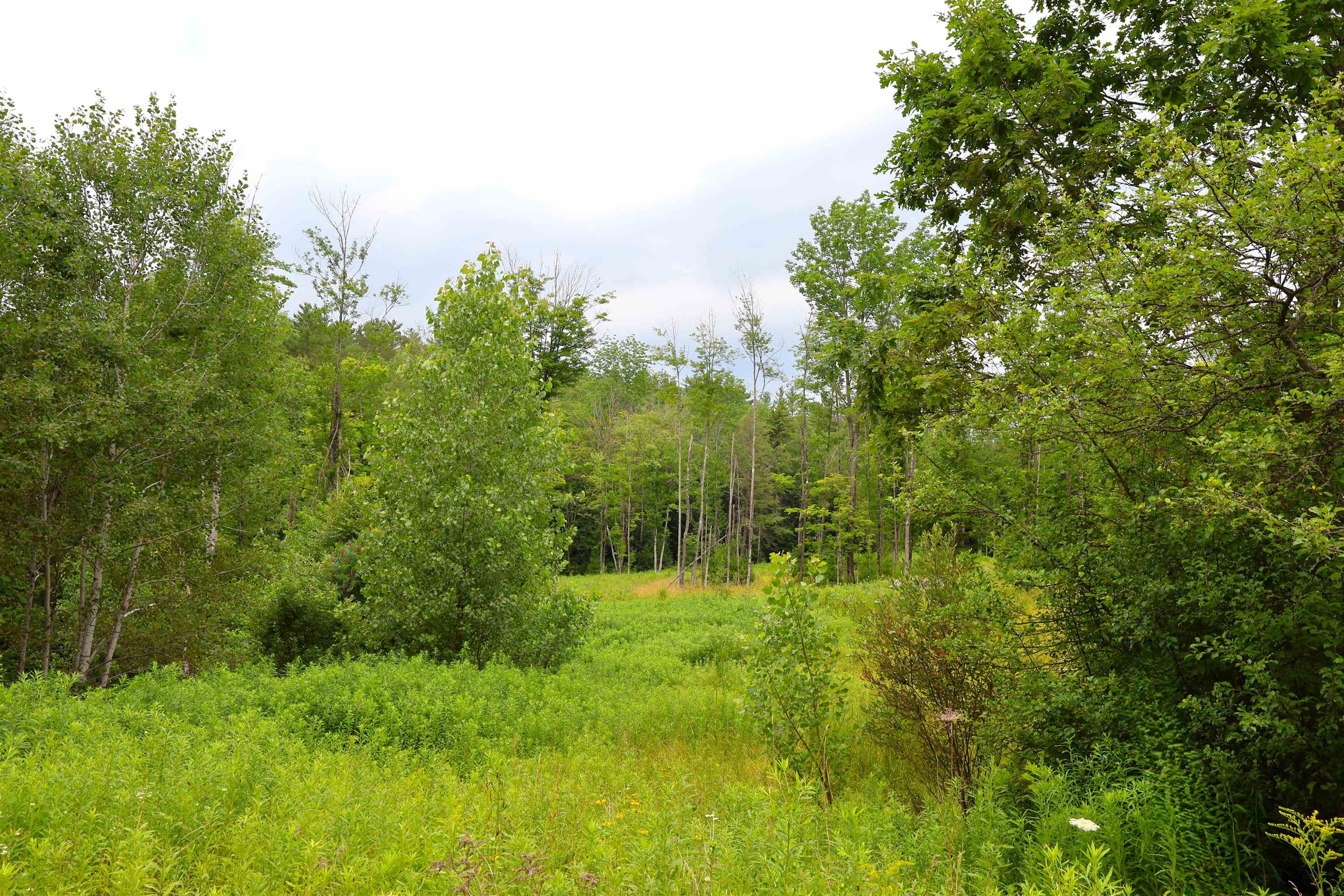 527 Neal Road Property Photo 12
