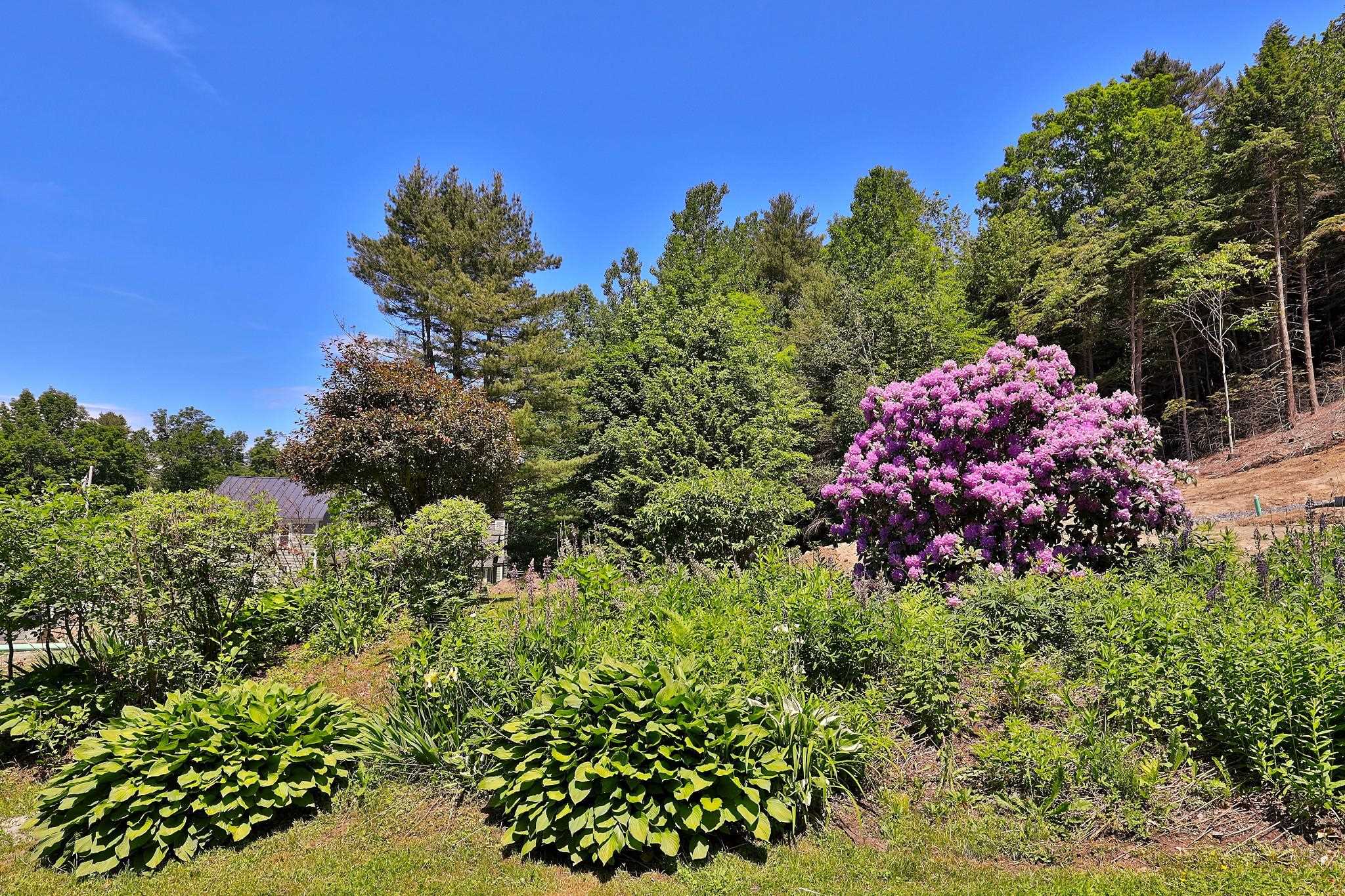 20 Plumley Avenue Property Photo 38