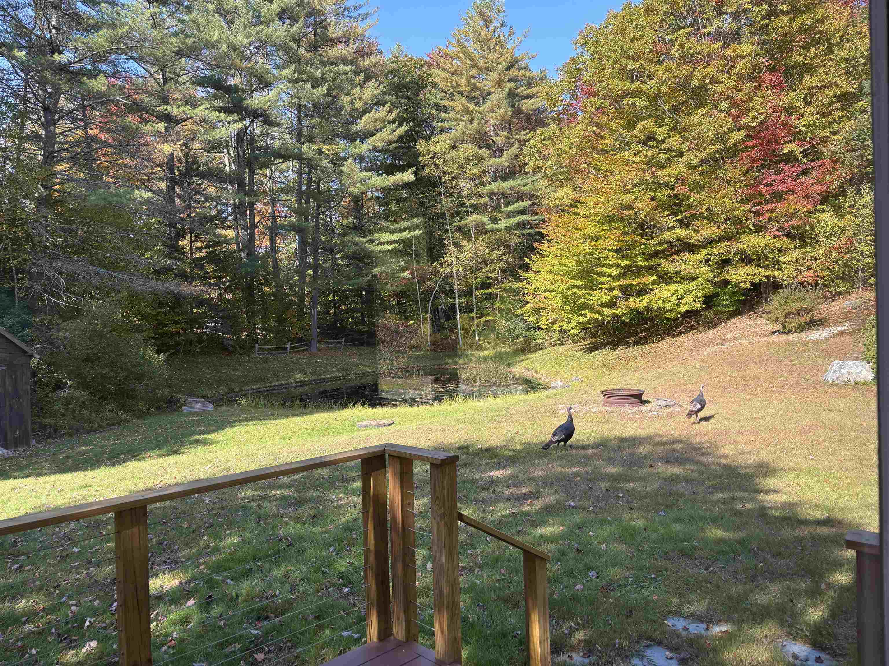 3057 Vt Rte 11 East Property Photo 12