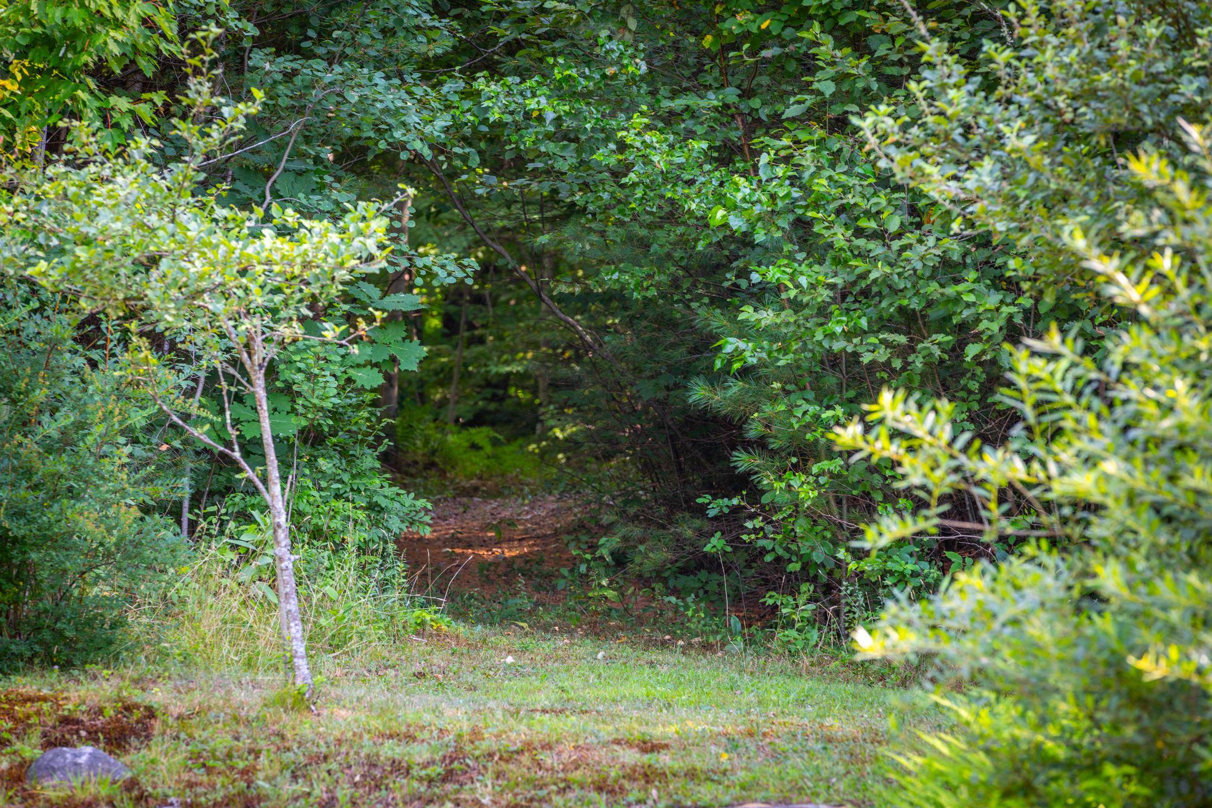 3057 Vt Rte 11 East Property Photo 19