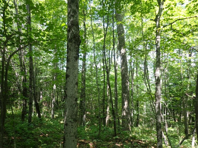 0 Powder Springs Road Property Photo 17