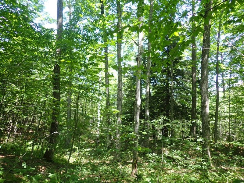 0 Powder Springs Road Property Photo 18