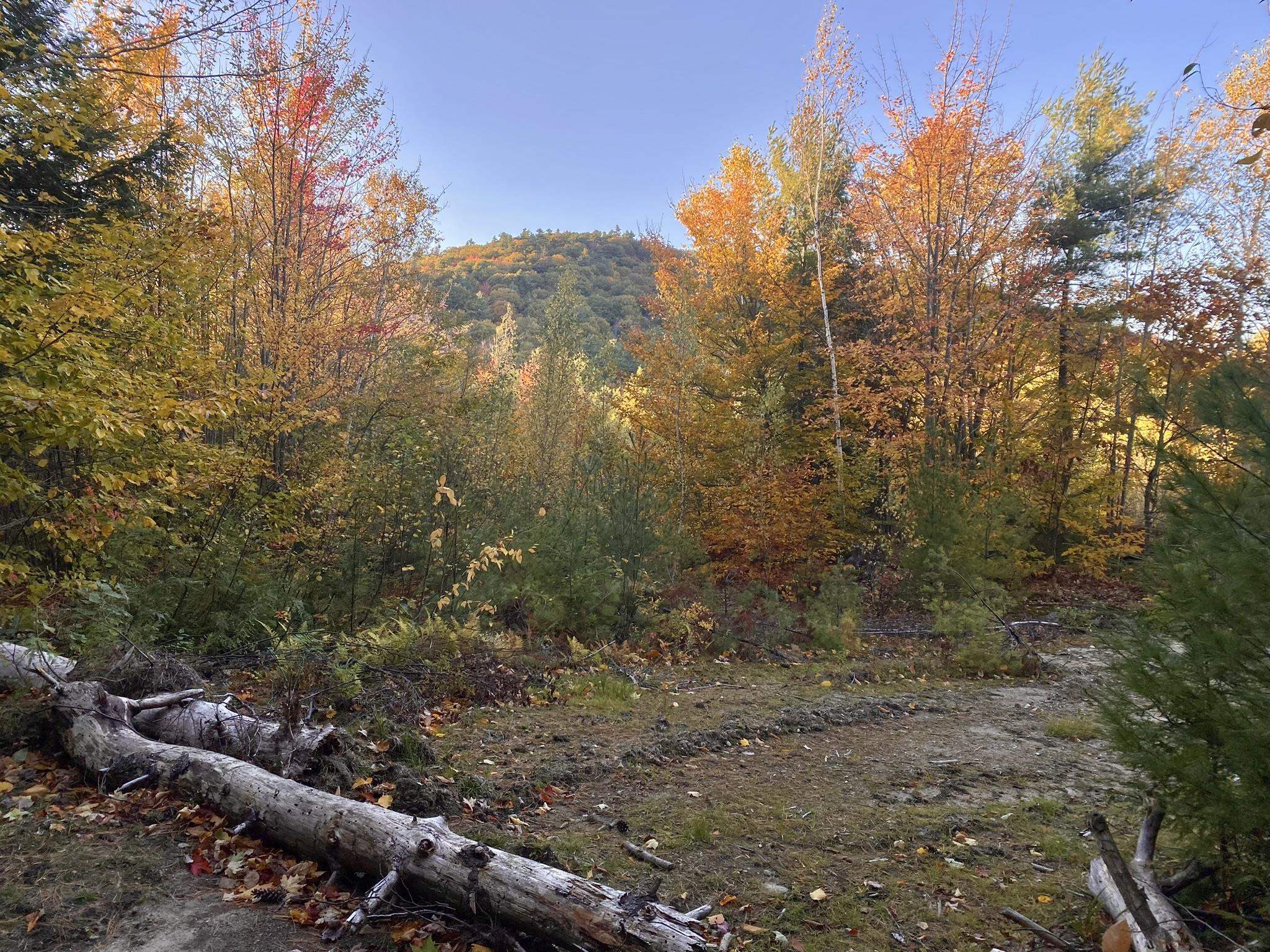 Willis Bean Road Property Photo