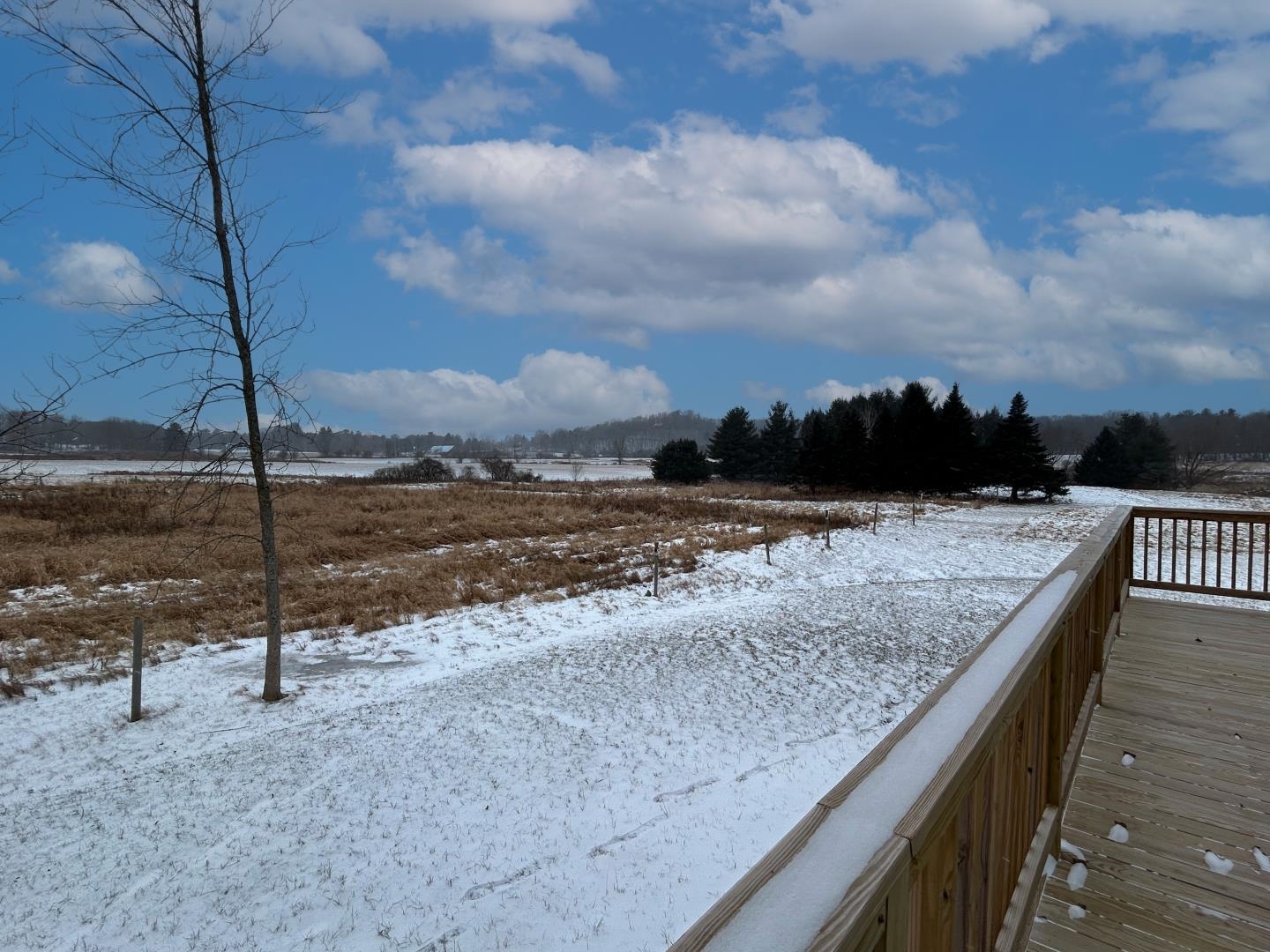 4313 Ethan Allen Highway Property Photo 15