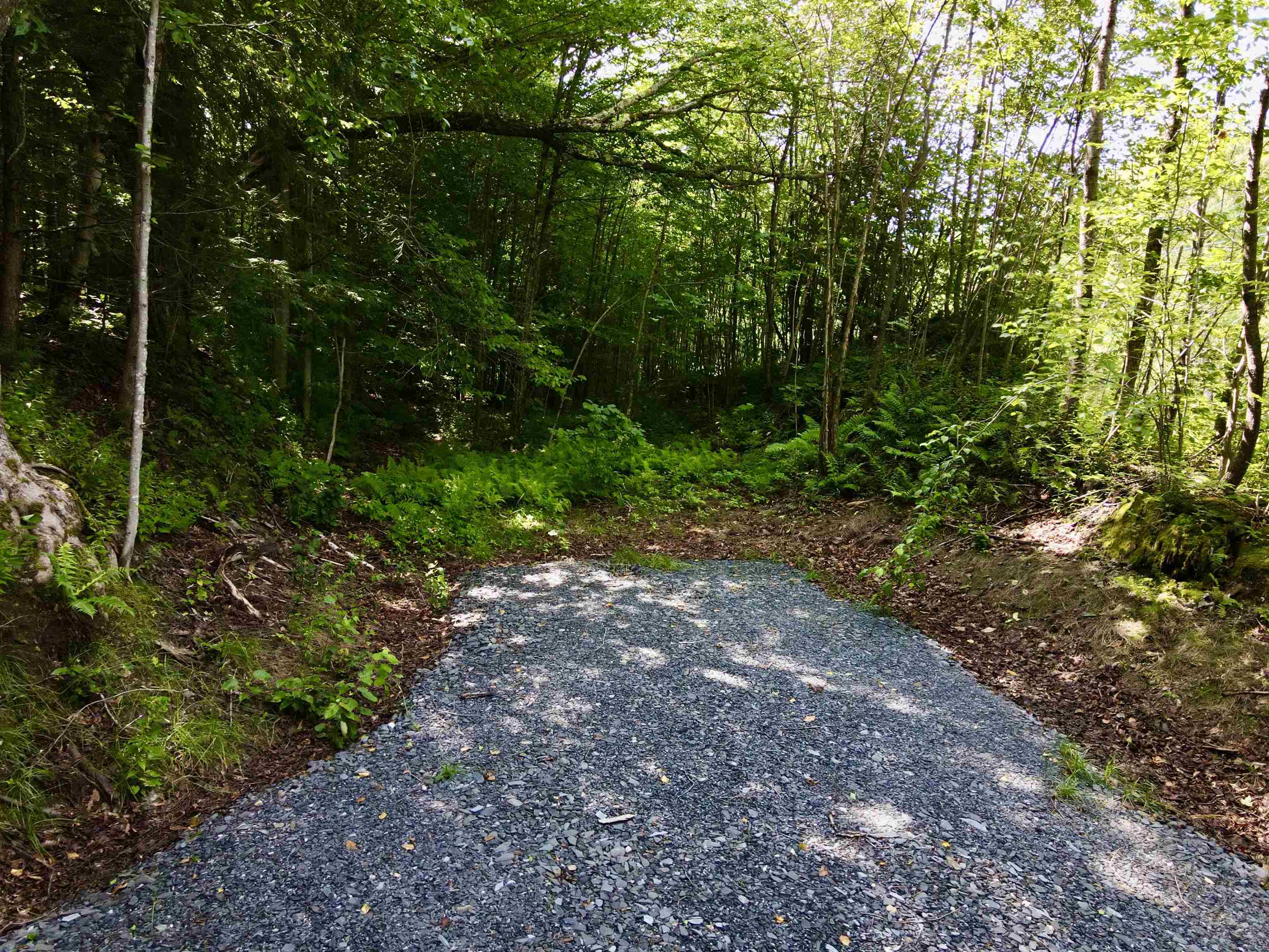 4475 Vt Route 100 Property Photo 3