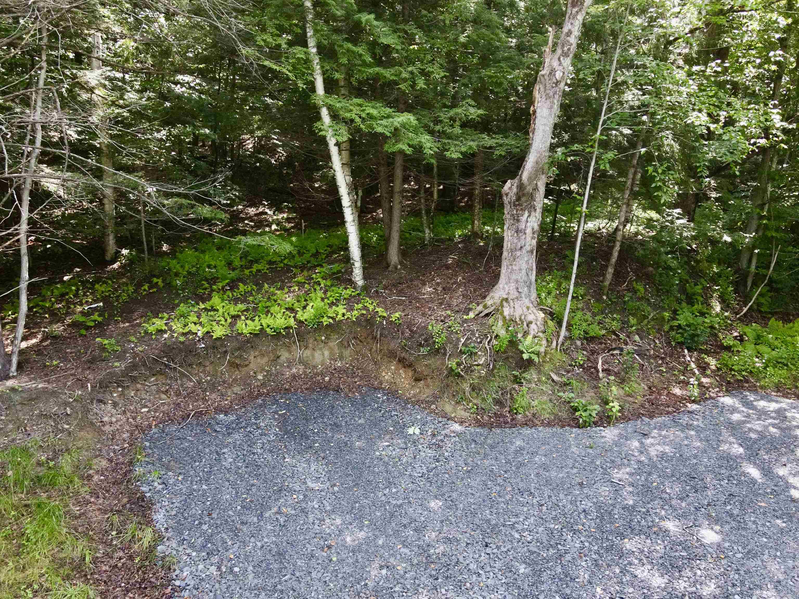 4475 Vt Route 100 Property Photo 4
