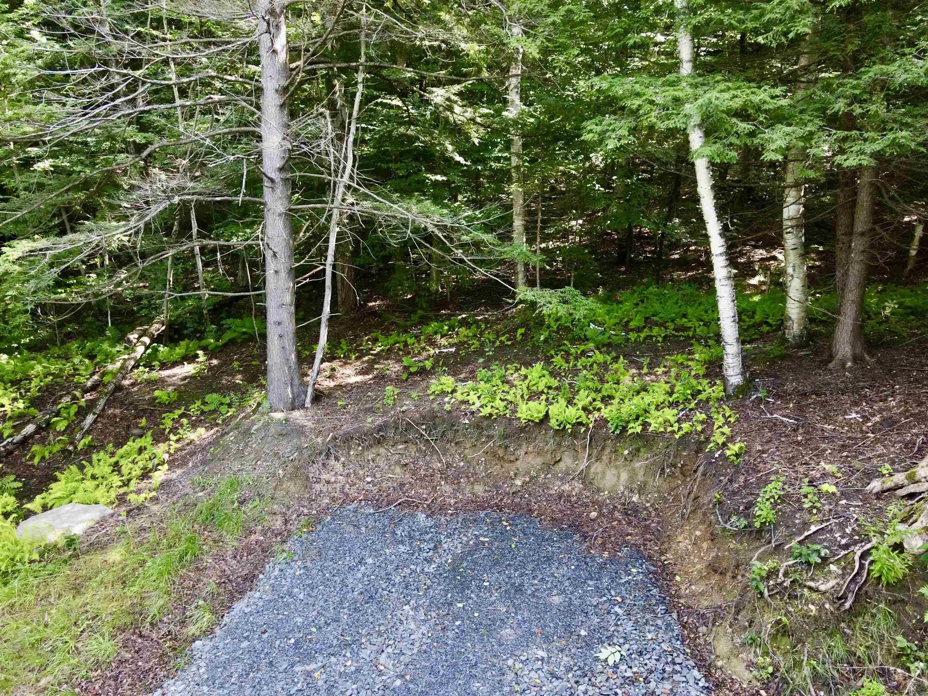 4475 Vt Route 100 Property Photo 5