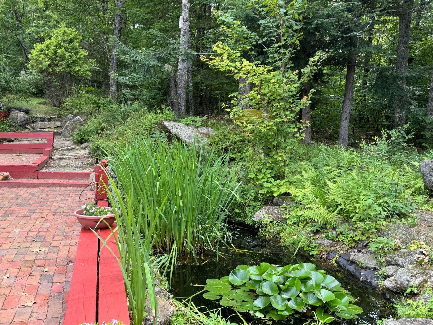 906 Shedd Hill Road Property Photo 31