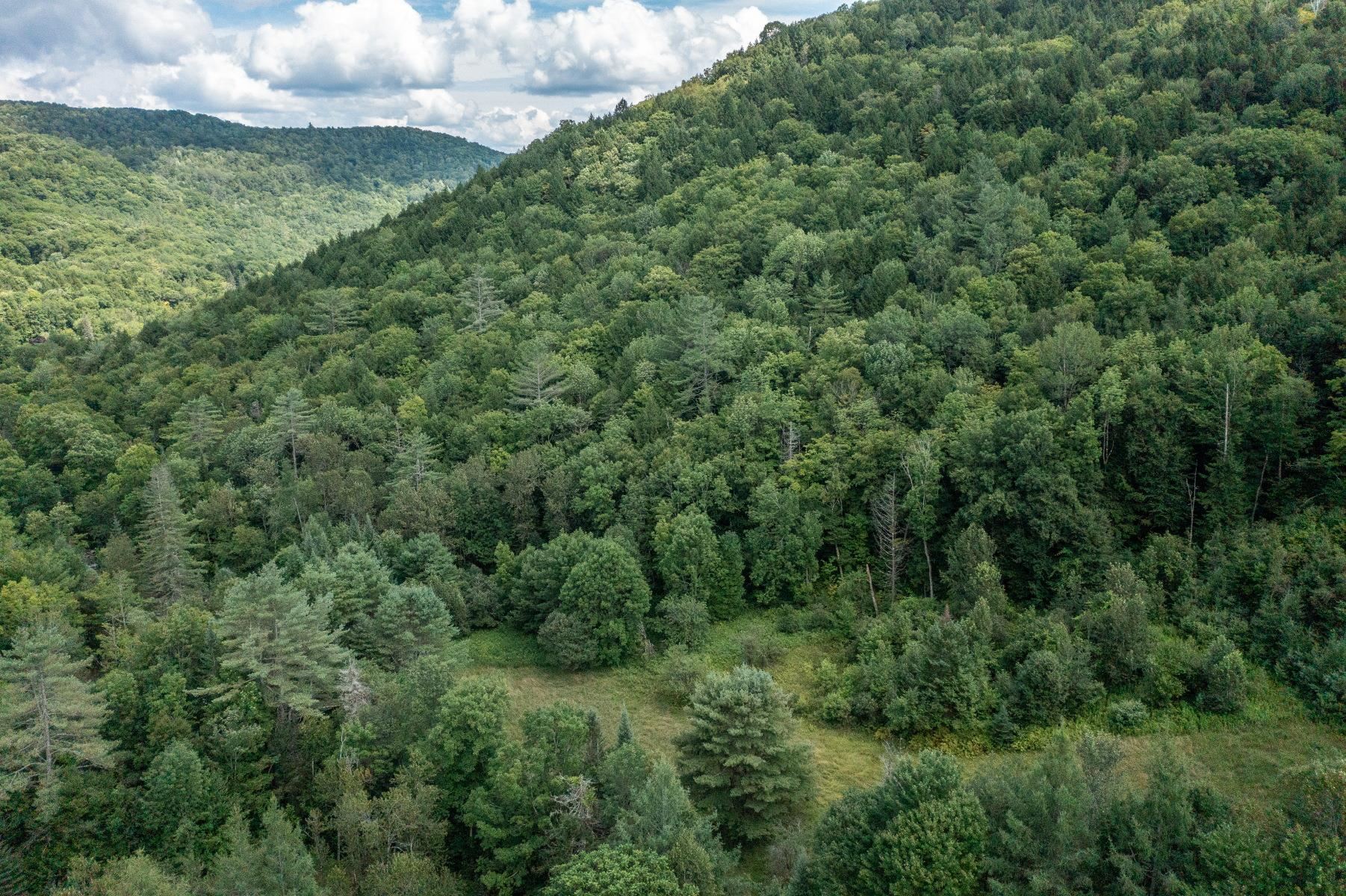 5352 Vt Route 113 Property Photo 7