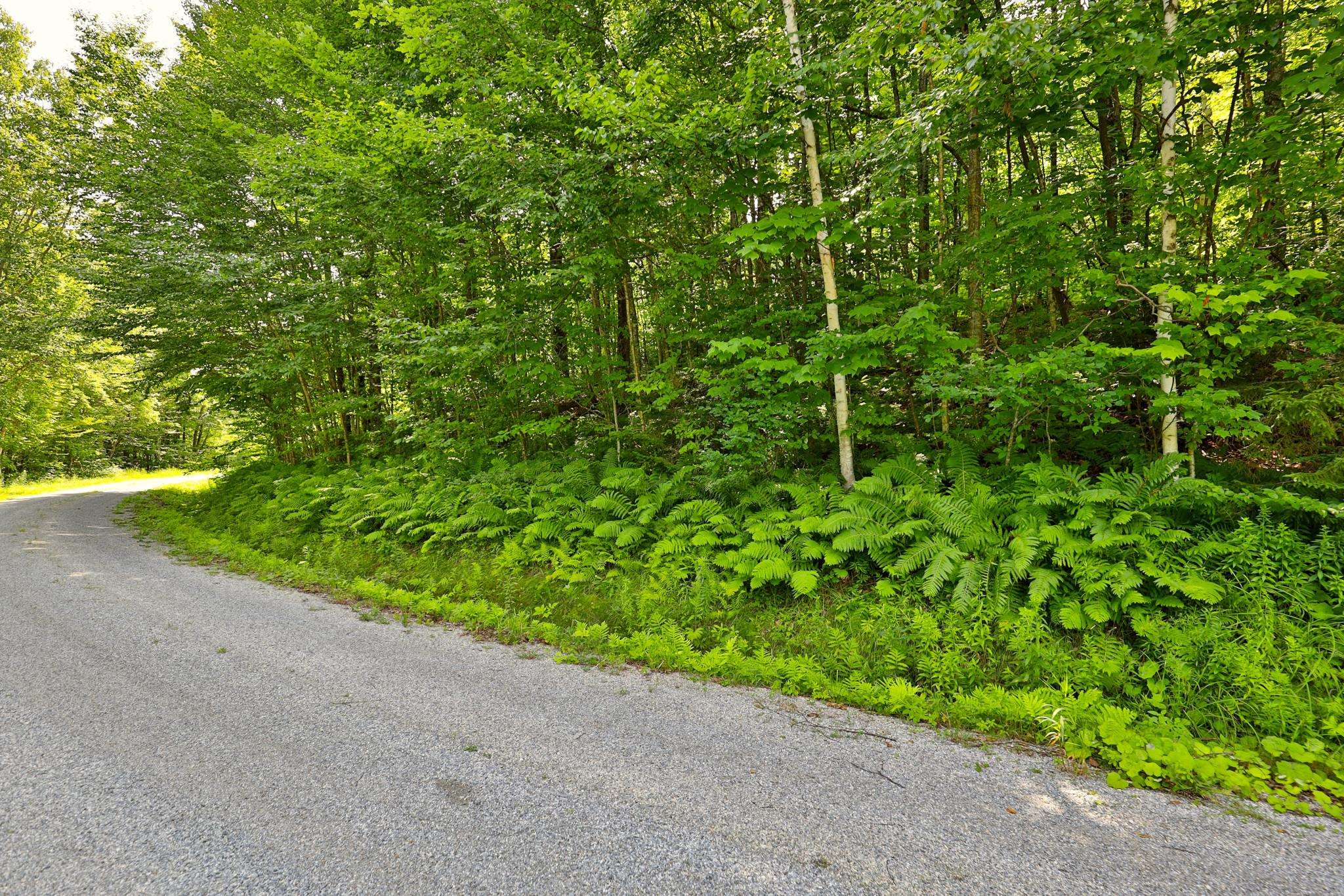 Woodpecker Road Property Photo 7