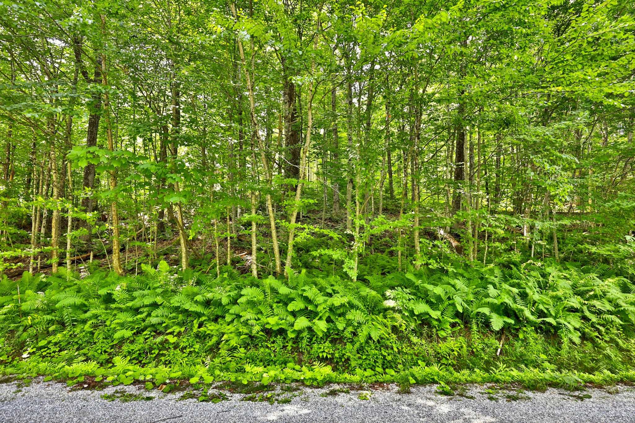 Woodpecker Road Property Photo 8