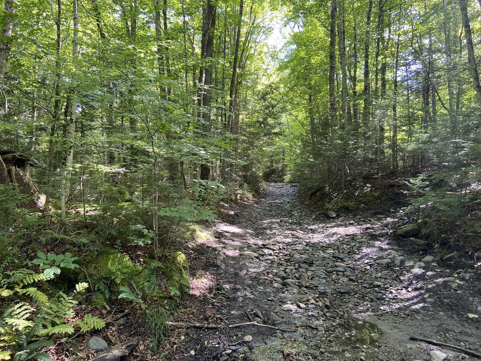 0 Fall Brook Road Property Photo 3
